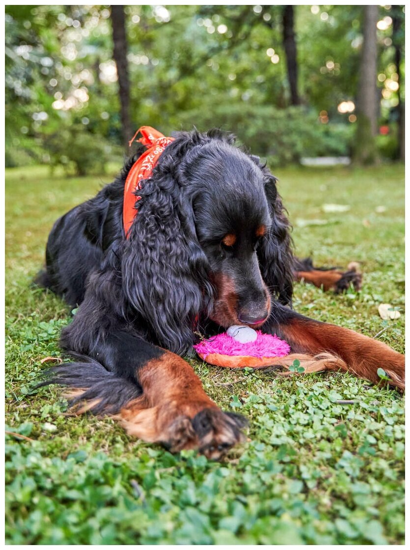 Игрушка для собак Japan Premium Pet Фрисби пушистый, розовый. - фотография № 8