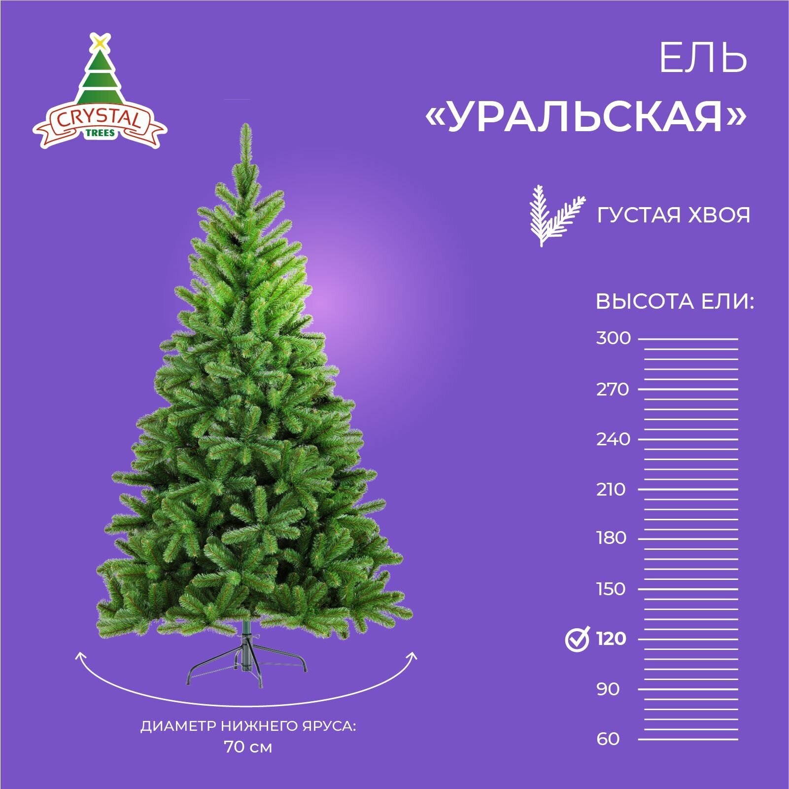 Ель уральская Стройная 120см.