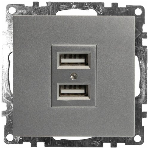 Розетка USB 2-местная (механизм), STEKKER GLS10-7115-03, 250B, 2,4А, серия Катрин, серебро