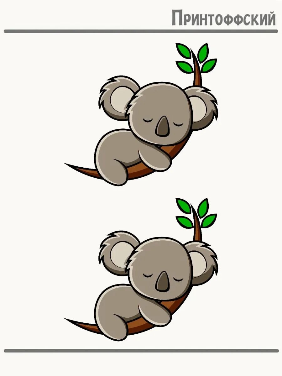 2-е (Две) Термонаклейки коала мульт