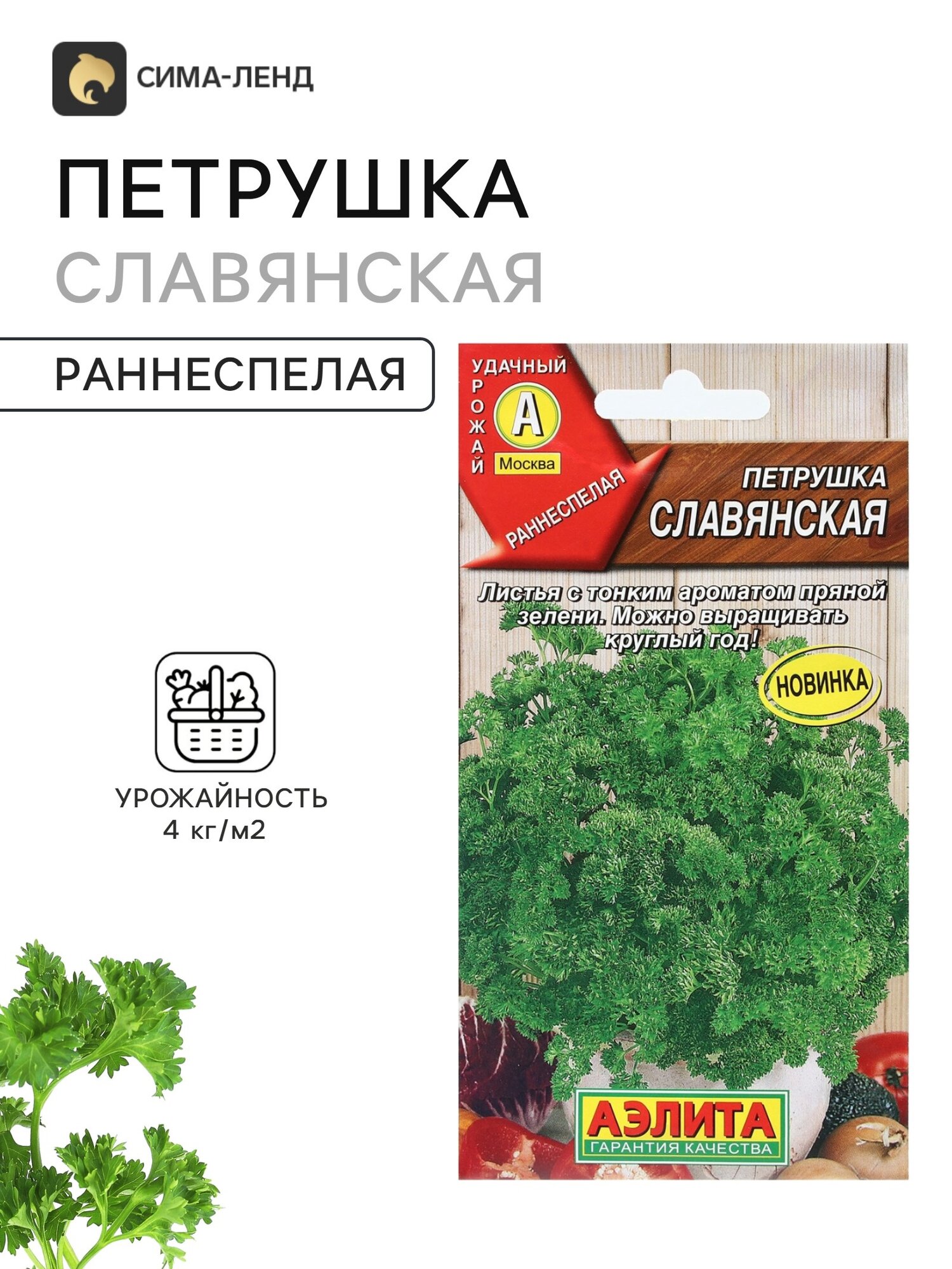 Семена Петрушка кудрявая Славянская. 12 упаковок