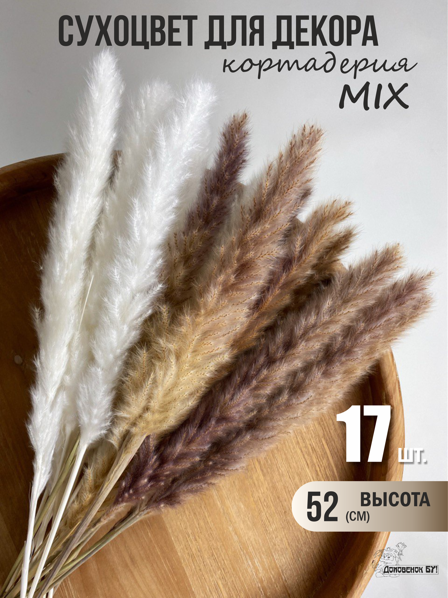 Сухоцветы для декора пампасная трава кортадерия микс