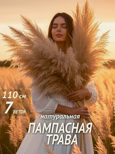 Изображение товара Сухоцветы для декора Sunflowers, Пампасная трава натуральная высокая, 7 веток 110 см