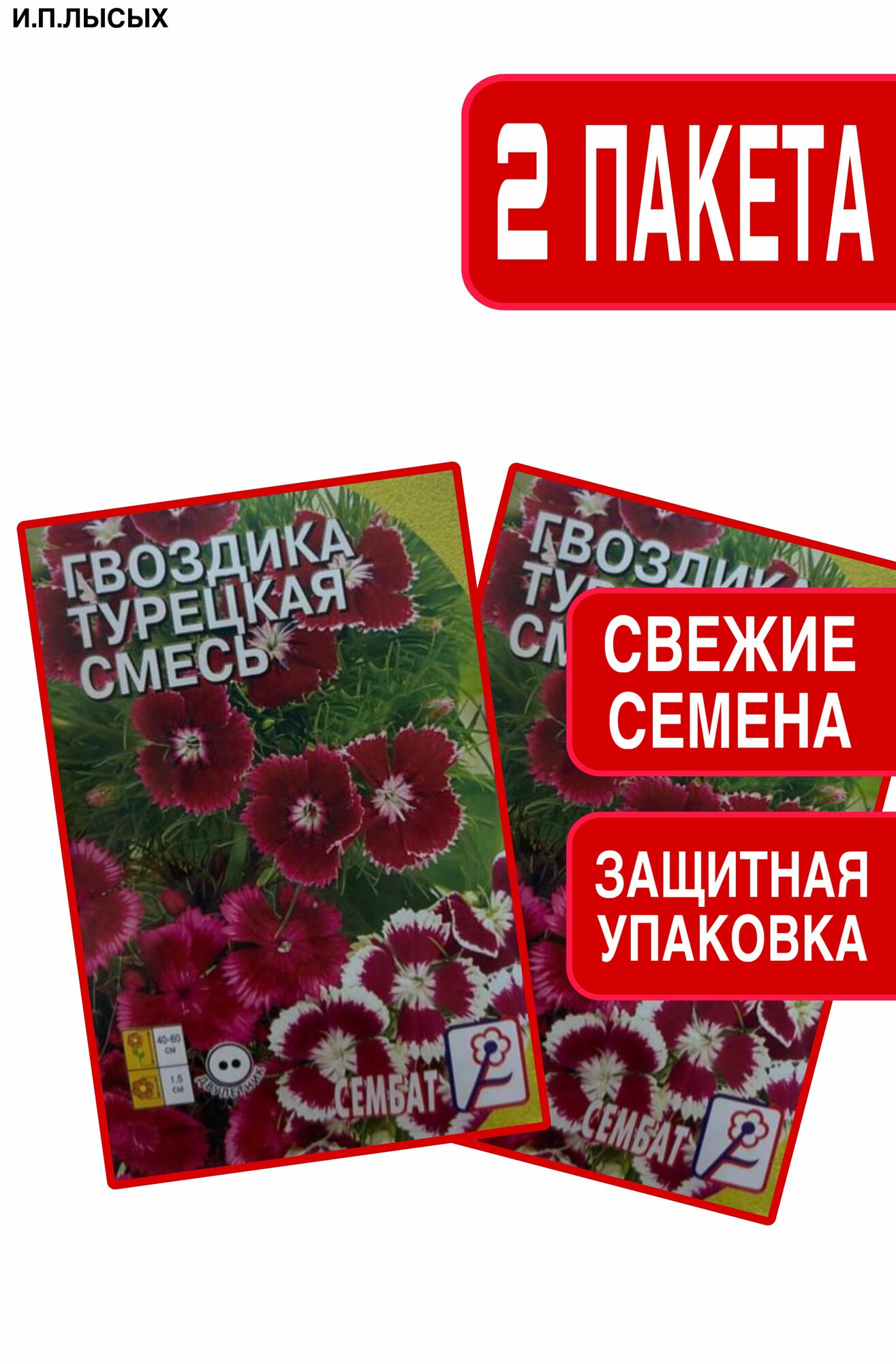 Семена Гвоздика 
