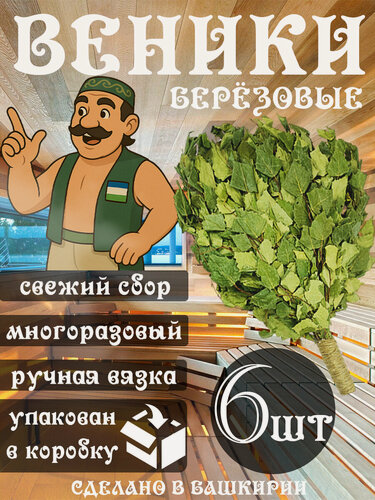 Изображение товара Веник березовый для бани и сауны 6шт.