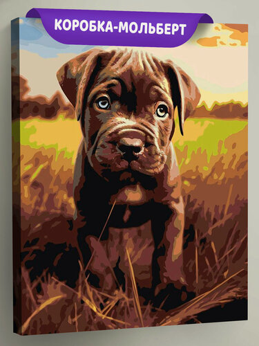 Изображение товара Картина по номерам на холсте с подрамником "Собака Кане корсо щенок на лугу" Раскраска 40х50 см, Природа Детская