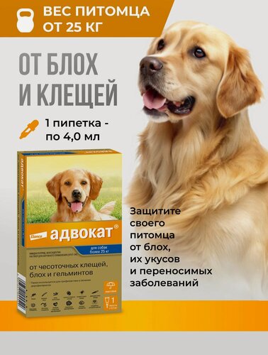 Изображение товара Адвокат для собак массой более 25 кг, 1 пип