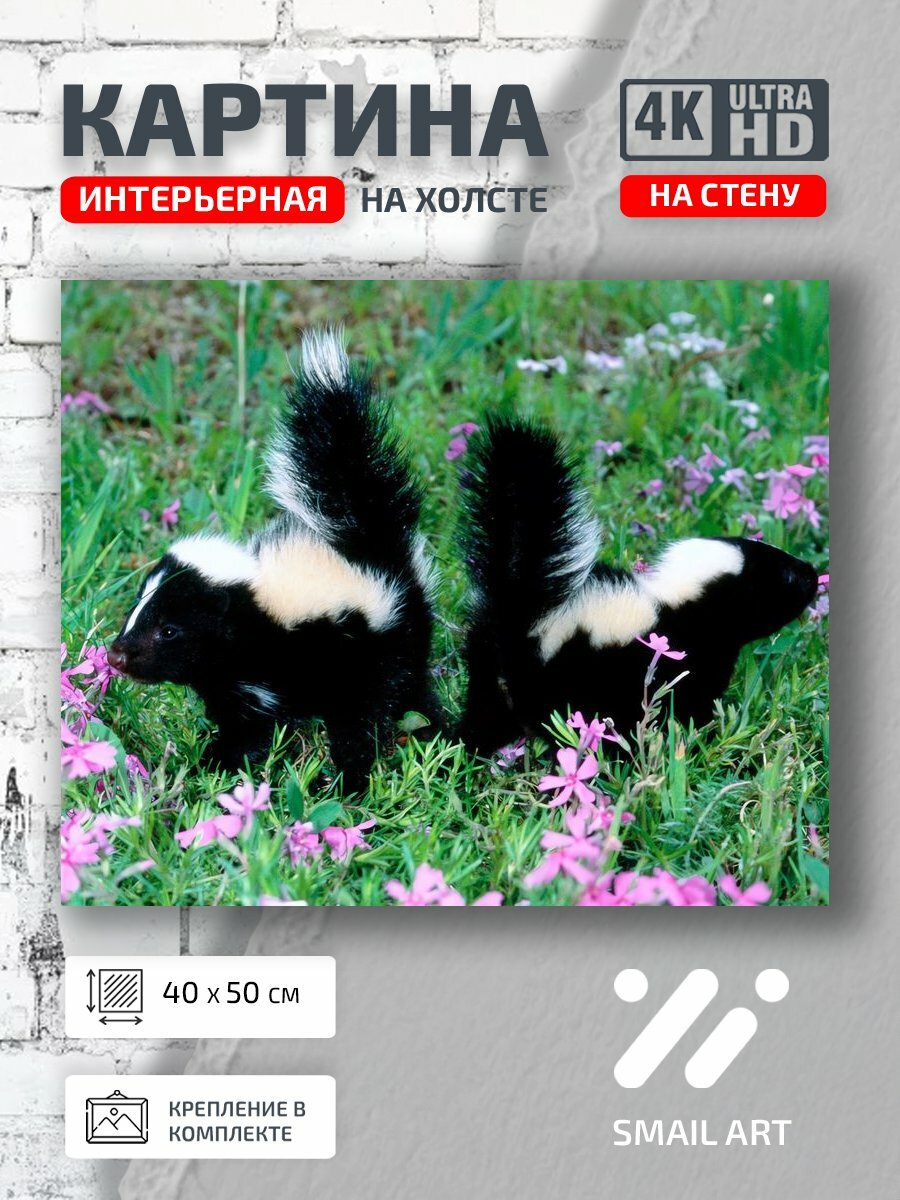 Картина на холсте интерьерная 40 на 50 на стену Скунс Mood для студии атмосфера интерьер