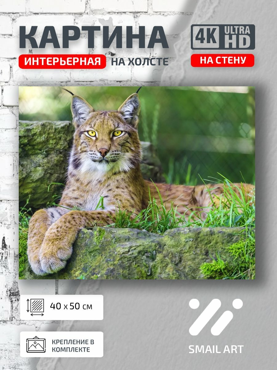 Картина на холсте интерьерная 40 на 50 на стену Рысь Landscape для спальни пейзаж интерьер