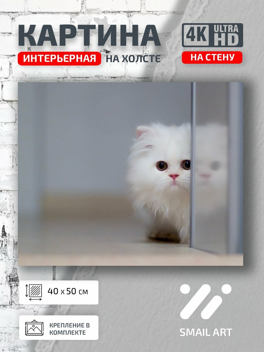 Картина на холсте интерьерная 40 на 50 на стену Котенок Animal для кабинета animal style
