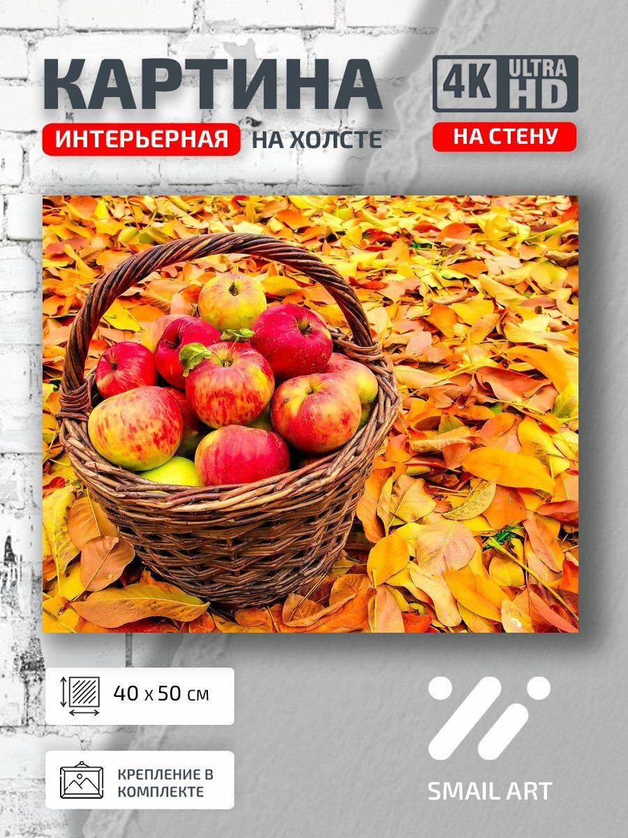 Картина на холсте интерьерная 40 на 50 на стену Листья Food для гостиной кулинария интерьер