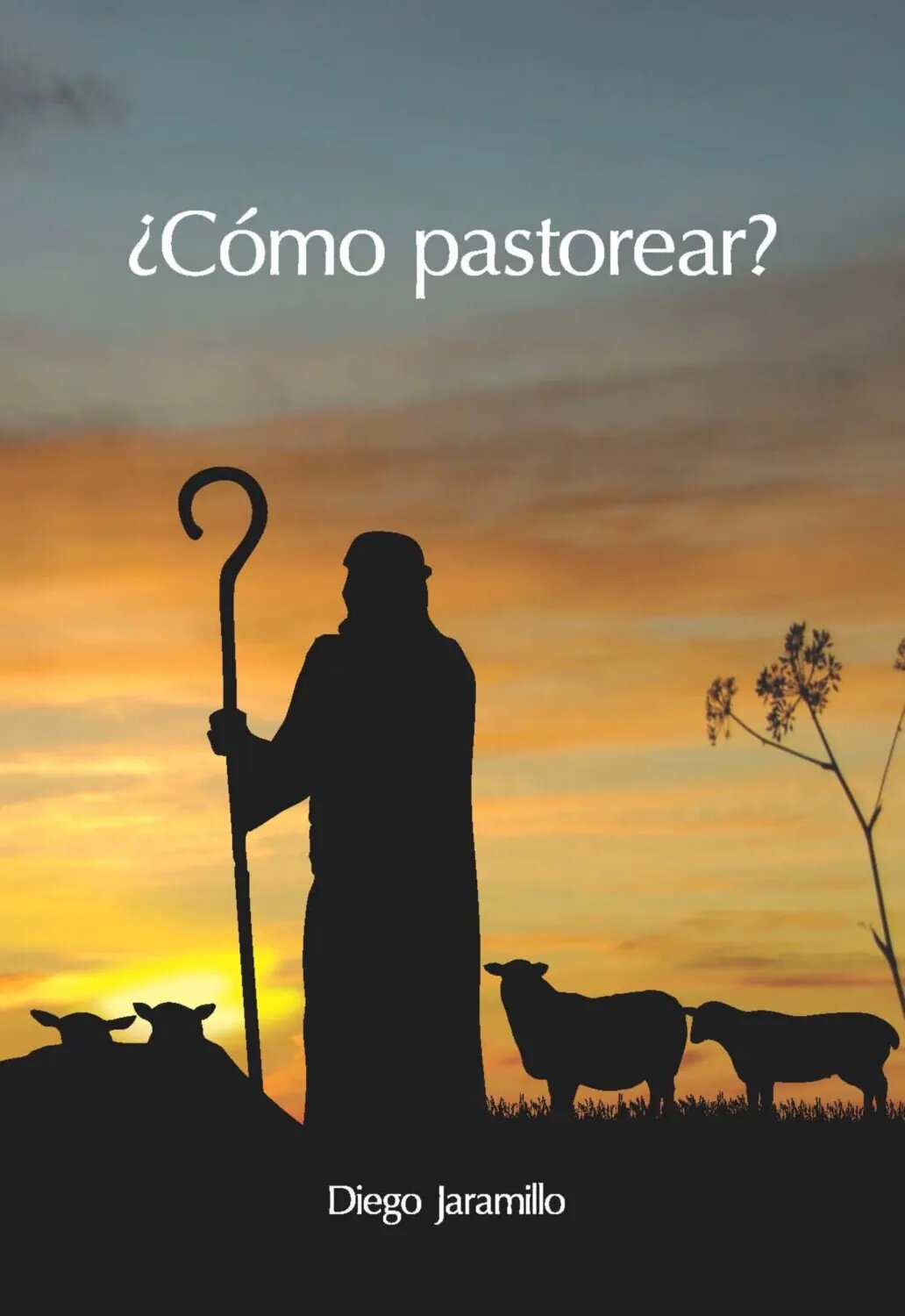¿Cómo pastorear? [Цифровая книга]