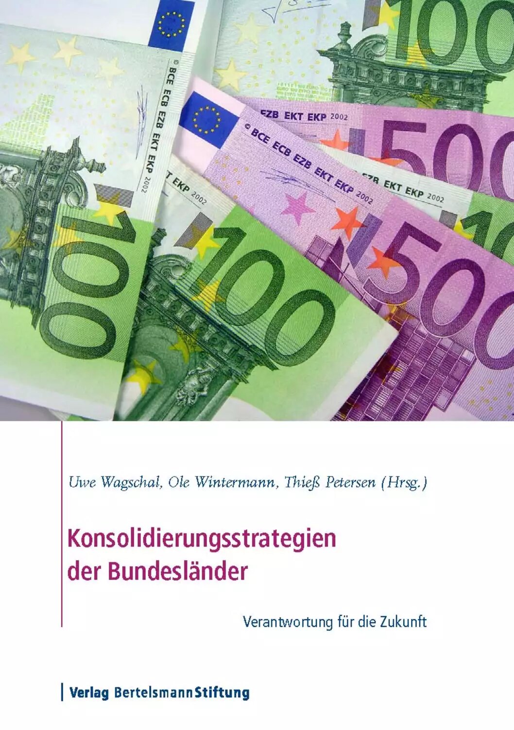 Konsolidierungsstrategien der Bundesländer [Цифровая книга]