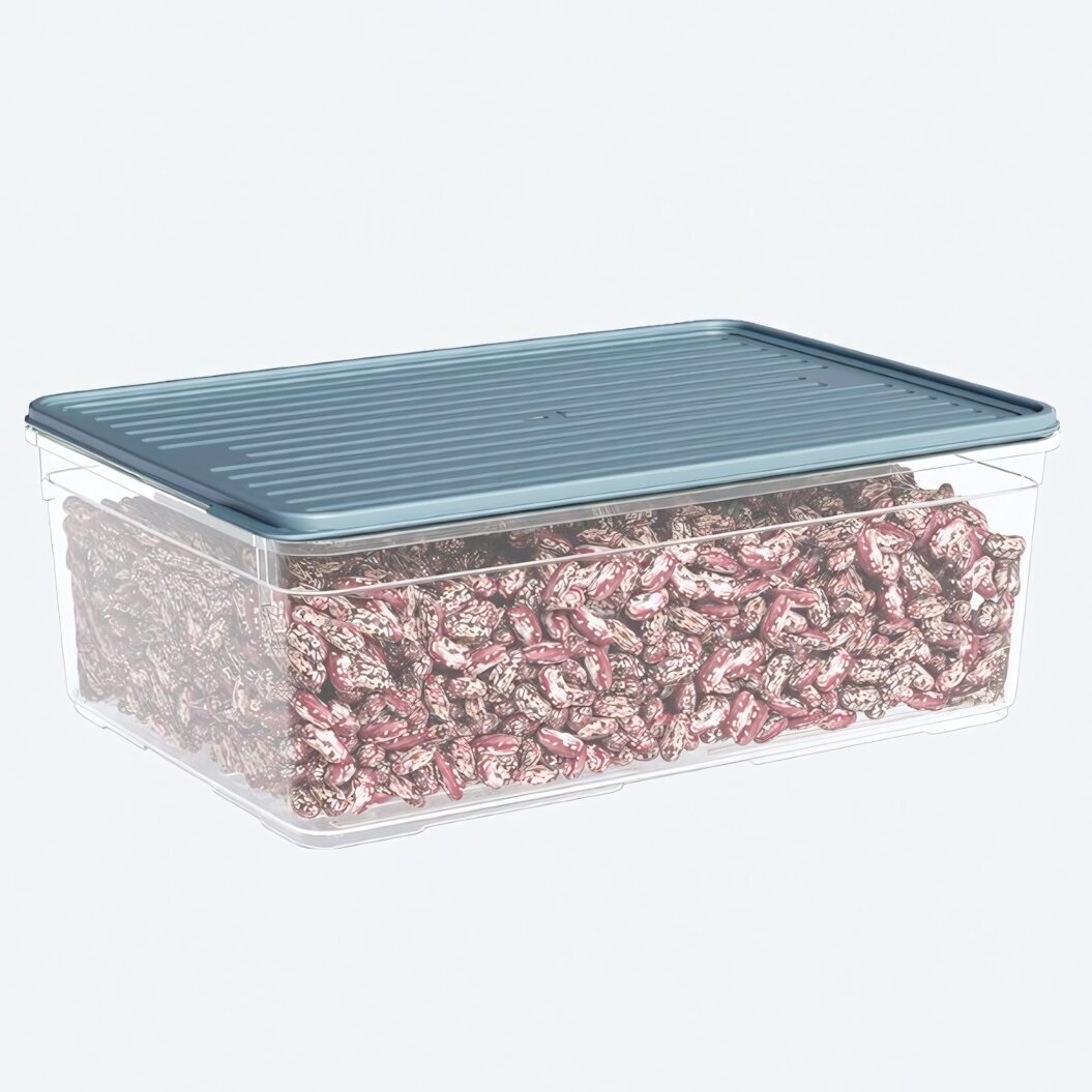 Лоток пластиковый с крышкой 4300 мл, прозрачный, серый, для хранения продуктов