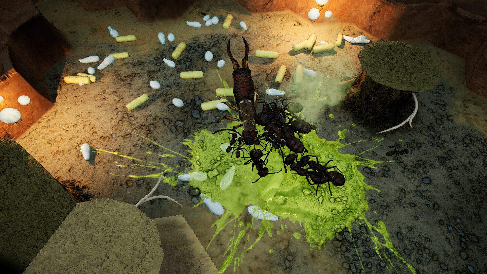 Empires of the Undergrowth - Exploding Ants DLC PC Steam Ключ