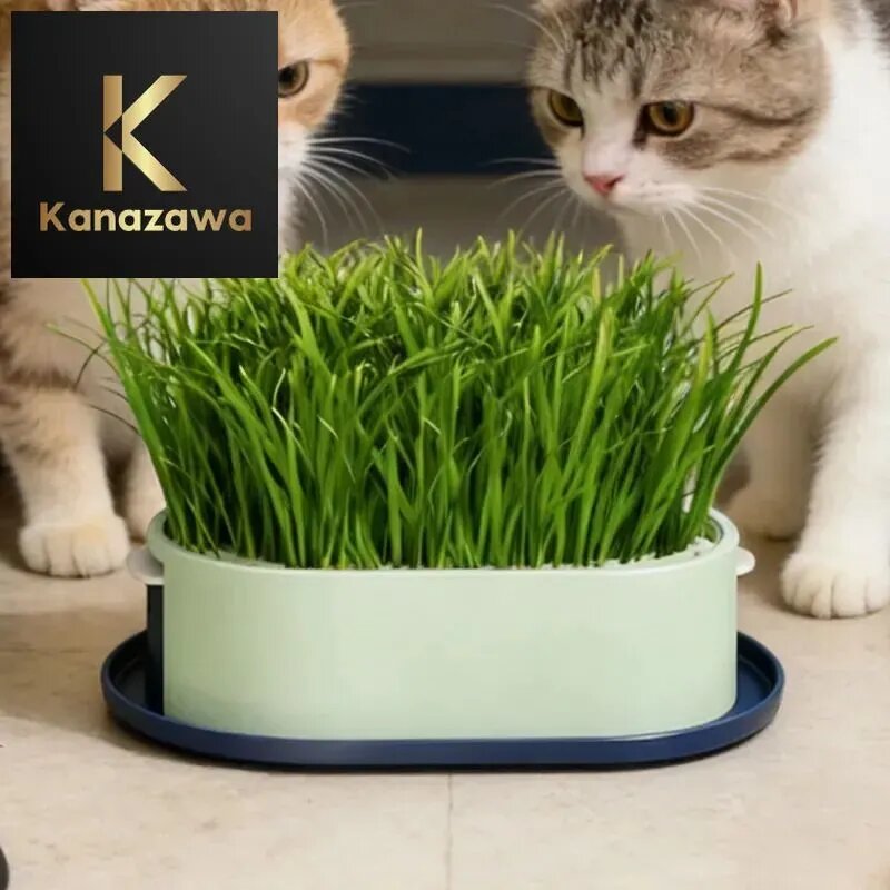 Контейнер для посадки гидропоники , Миска для животных