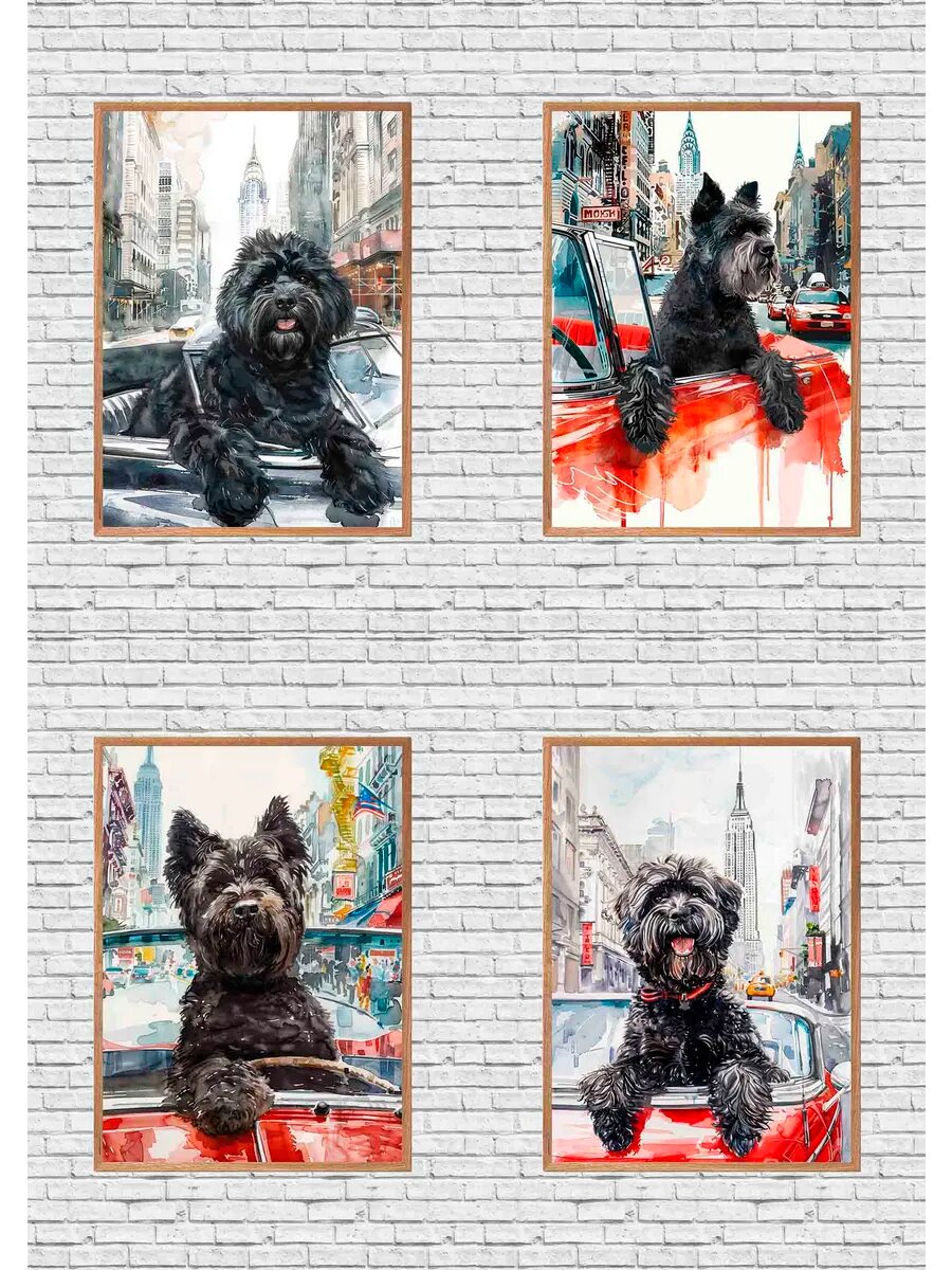 Фландрский бувье-собака-миллиардер, 4 Плаката, 30x21см