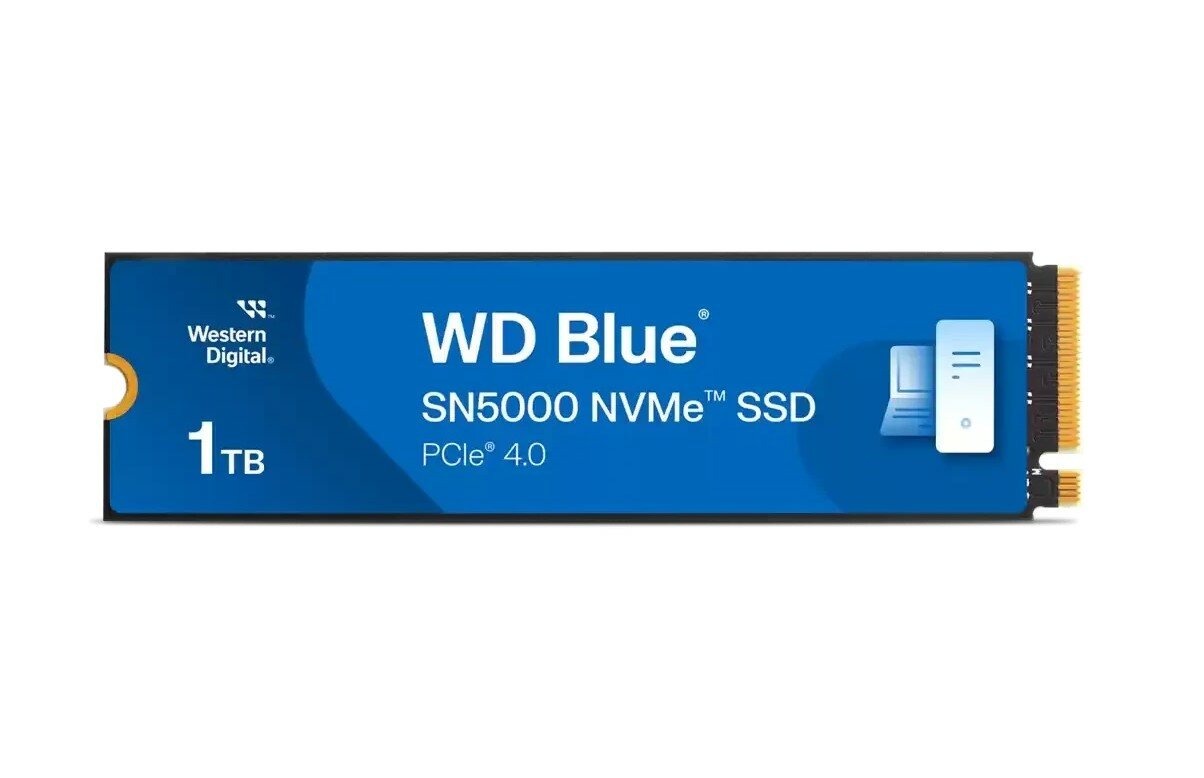 Твердотельный накопитель Western Digital WD Blue SN5000 1 ТБ M.2 WDS100T4B0E