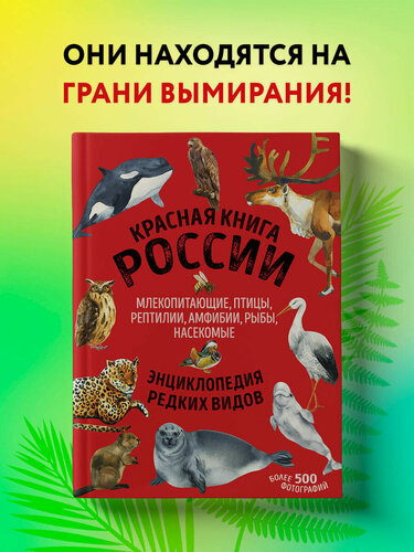 Изображение товара Лукашанец Д. А, Лукашанец Е. М. Красная книга России. Млекопитающие, птицы, рептилии, амфибии, рыбы, насекомые