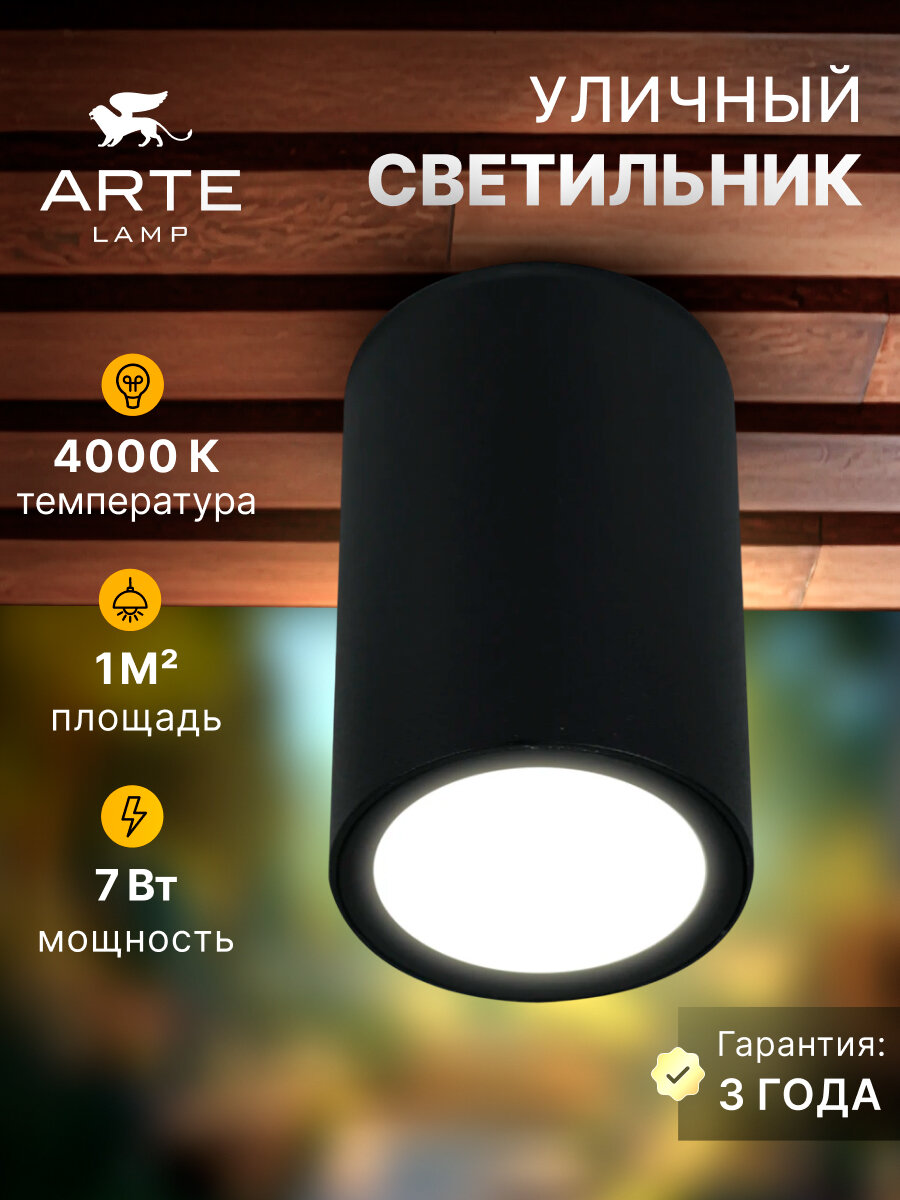 Уличный потолочный светильник TORCULAR A1807PF-1BK LED чёрный