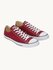 Chuck Taylor All Star Seasonal M9691C