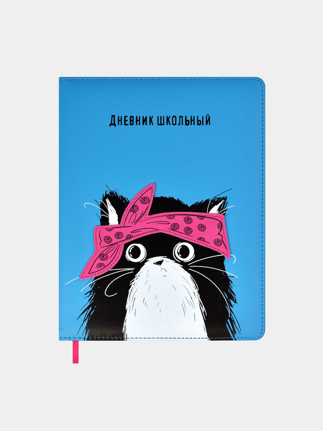 Дневник школьный, А5+, 48л, твёрдый переплёт с поролоном