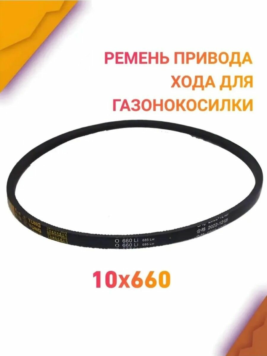 Приводной ремень хода газонокосилки LM4627 LM4630 (10x660Li) CHAMPION / 60320210000