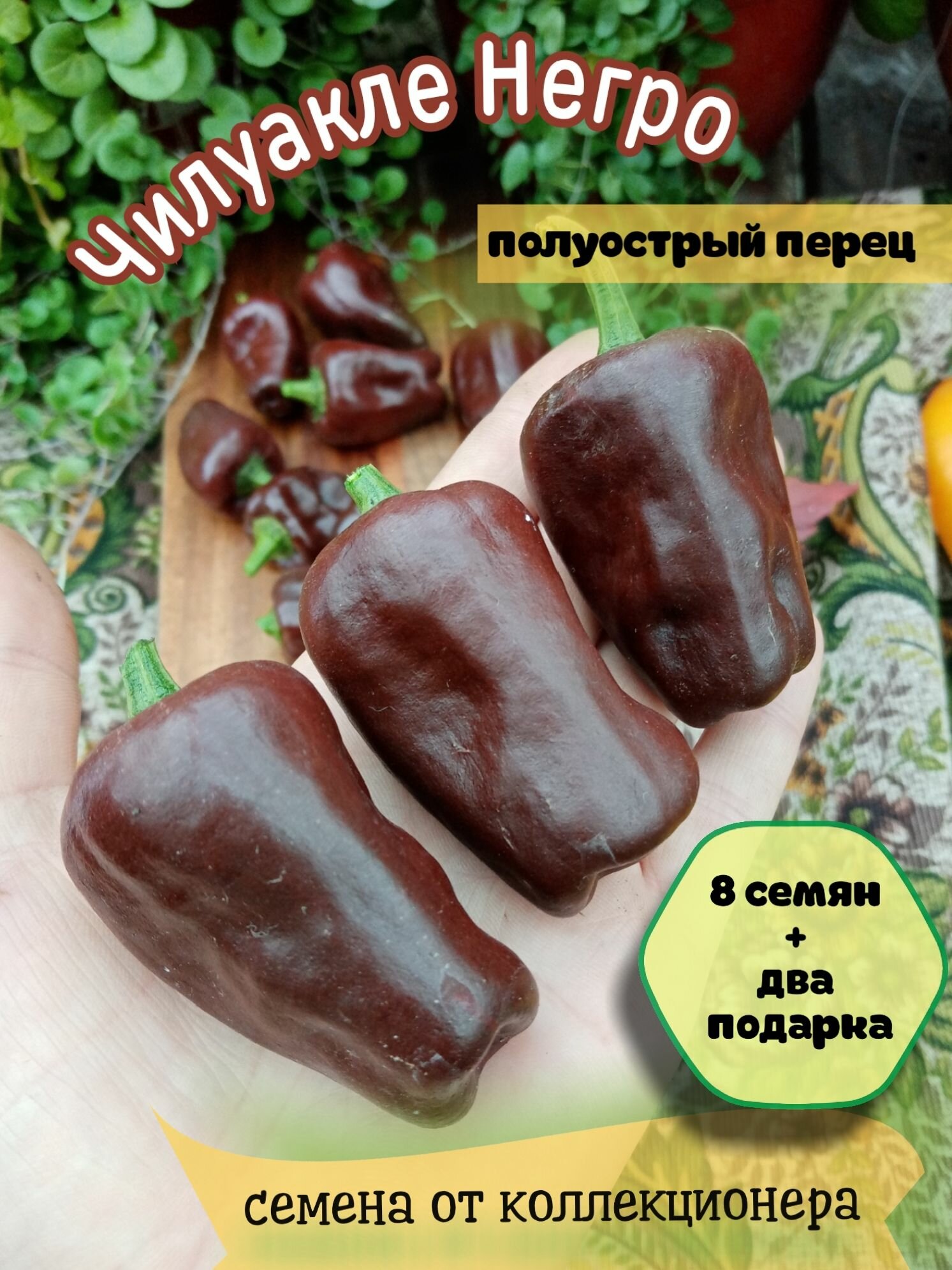 Перец полуострый "Чилуакле Негро", родом из Мексики, для сушки на ароматные приправы