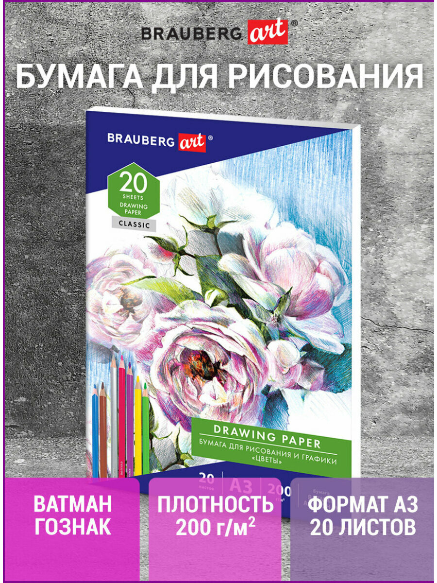 Бумага для рисования и графики в папке Большая А3 20 л 200 г/м2 Ватман Гознак Brauberg Art Classic 114491