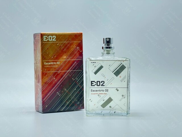 Парфюмерная вода ноты "E02", унисекс, восточный аромат, 100мл — фото 1