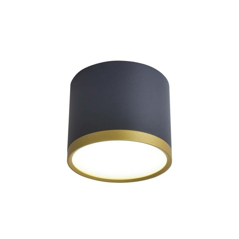 Favourite 3081-2C потолочный светильник D88xH75 LEDx9W 400LM 4000K IP20 included