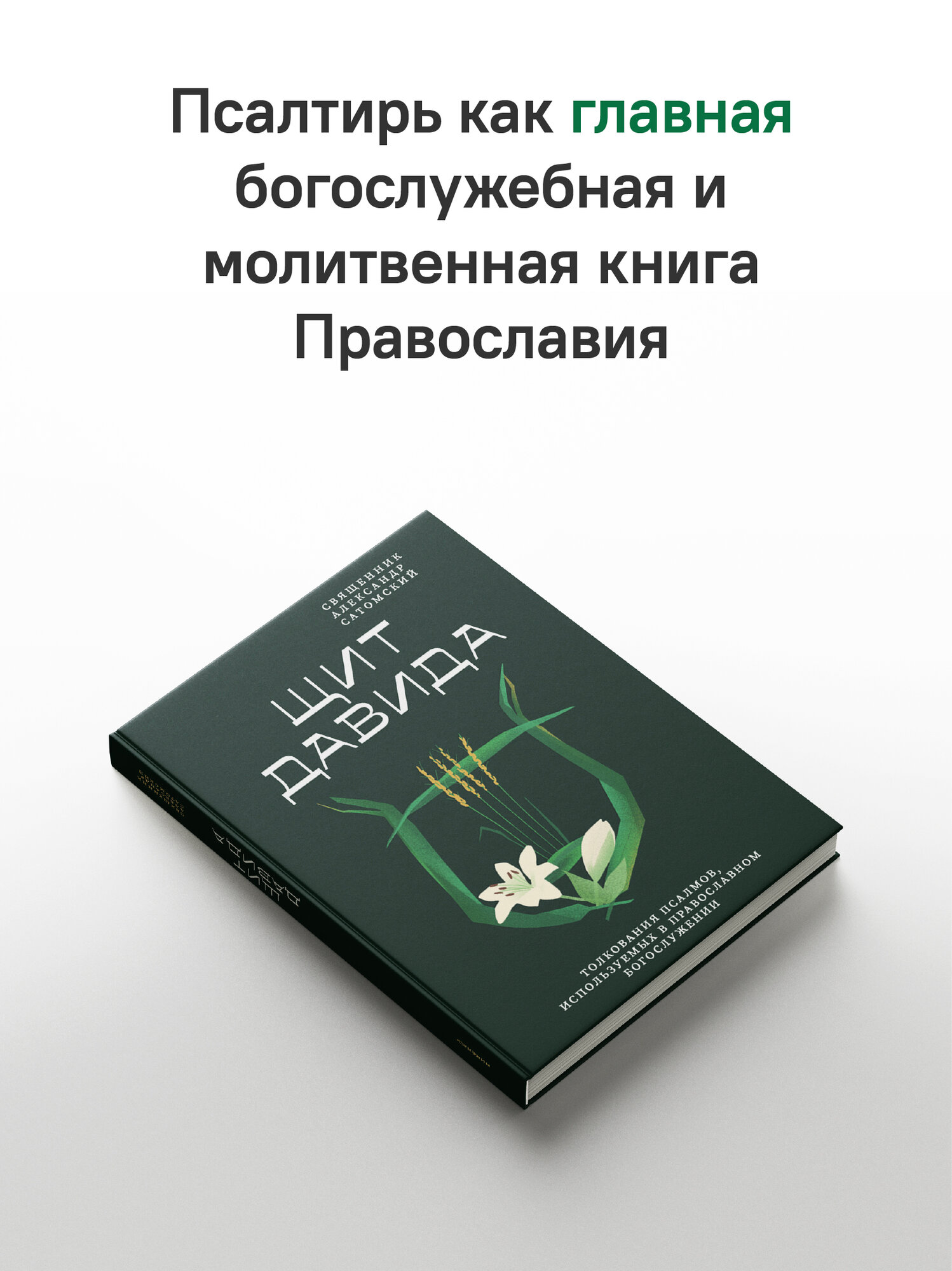 Книга "Щит Давида", толкования псалмов, издательство Никея, православная литература, 2025 год, 288 страниц — фото 1