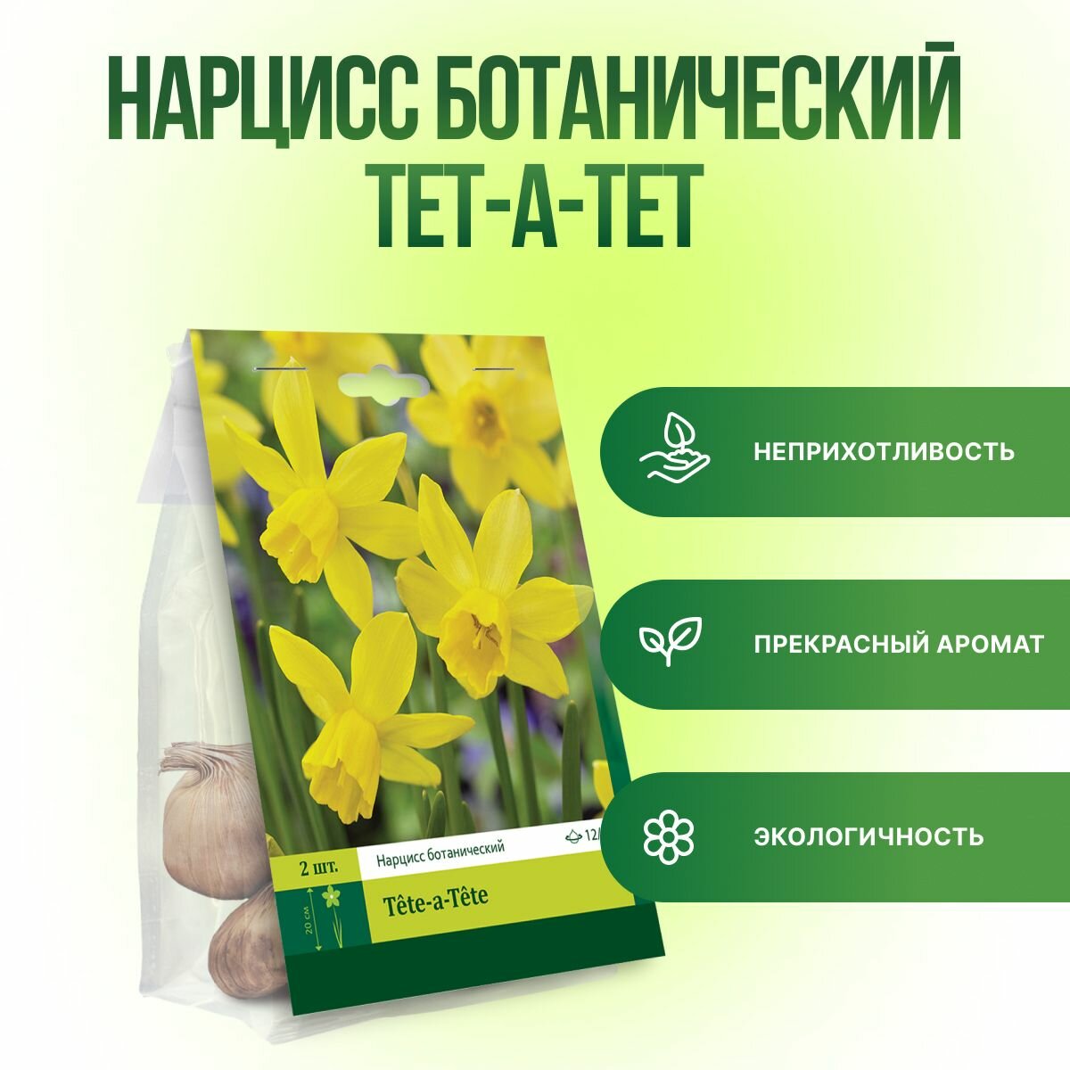 Нарцисс Тет-а-Тет ботанический (2шт) луковицы нарциссов многолетние