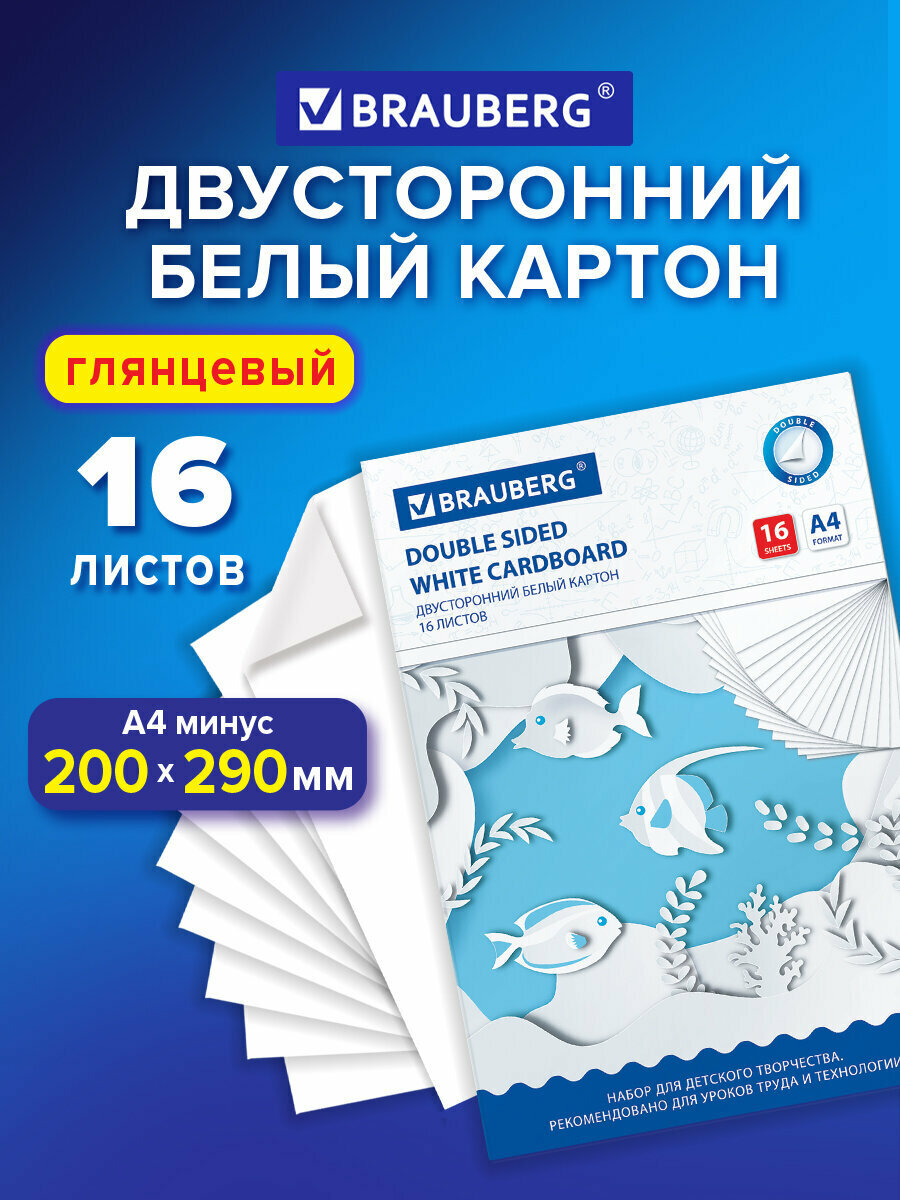 Картон белый А4 МЕЛОВАННЫЙ (белый оборот), 16 листов, в папке, BRAUBERG, 200х290 мм, 113561