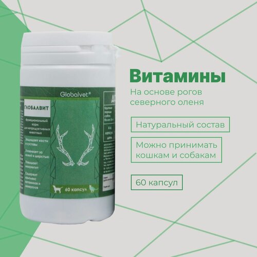 Изображение товара Витамины GlobalVit, для опорно-двигательной системы, кожи и шерсти собак и кошек 60шт