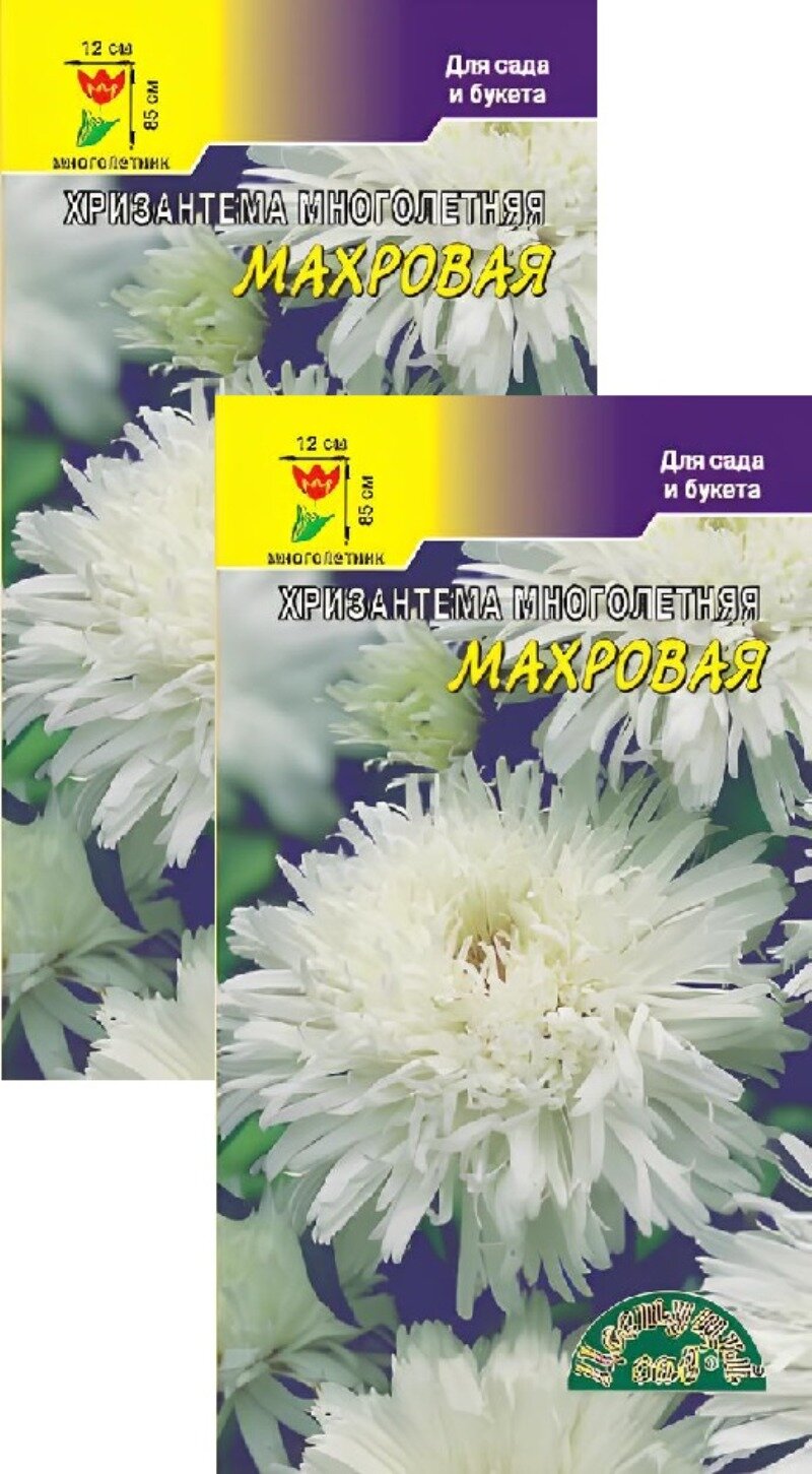 Семена Хризантема Многолетняя Махровая белая (0,03 г), 2 пакета