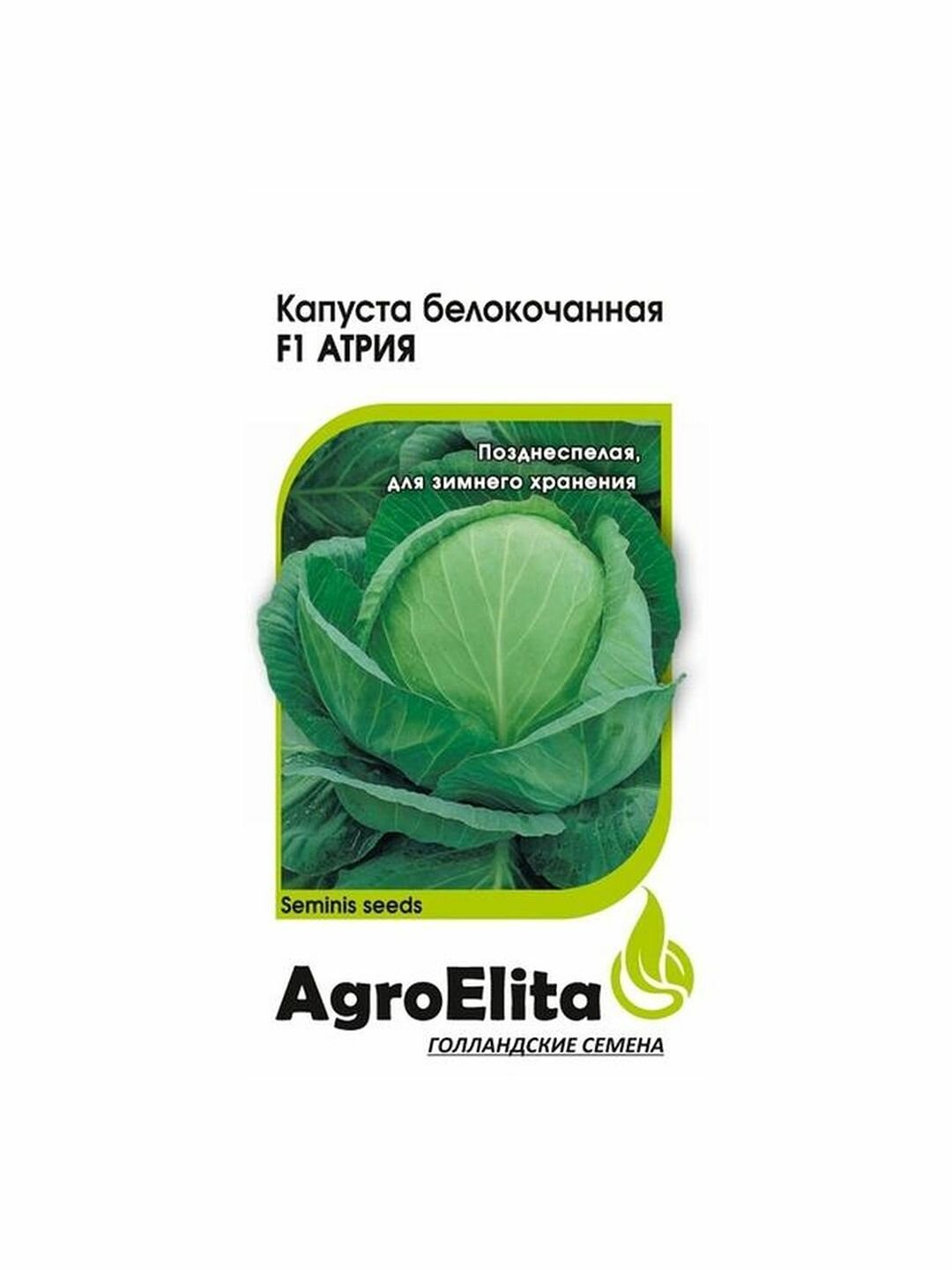 Семена Капуста белокочанная Атрия F1 позднеспелый AgroElita - Семинис 1 пачка - 10 семян