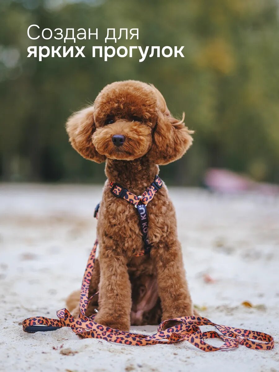 Поводок 5м для мелких и средних собак леопардовый нейлоновый — фото 1