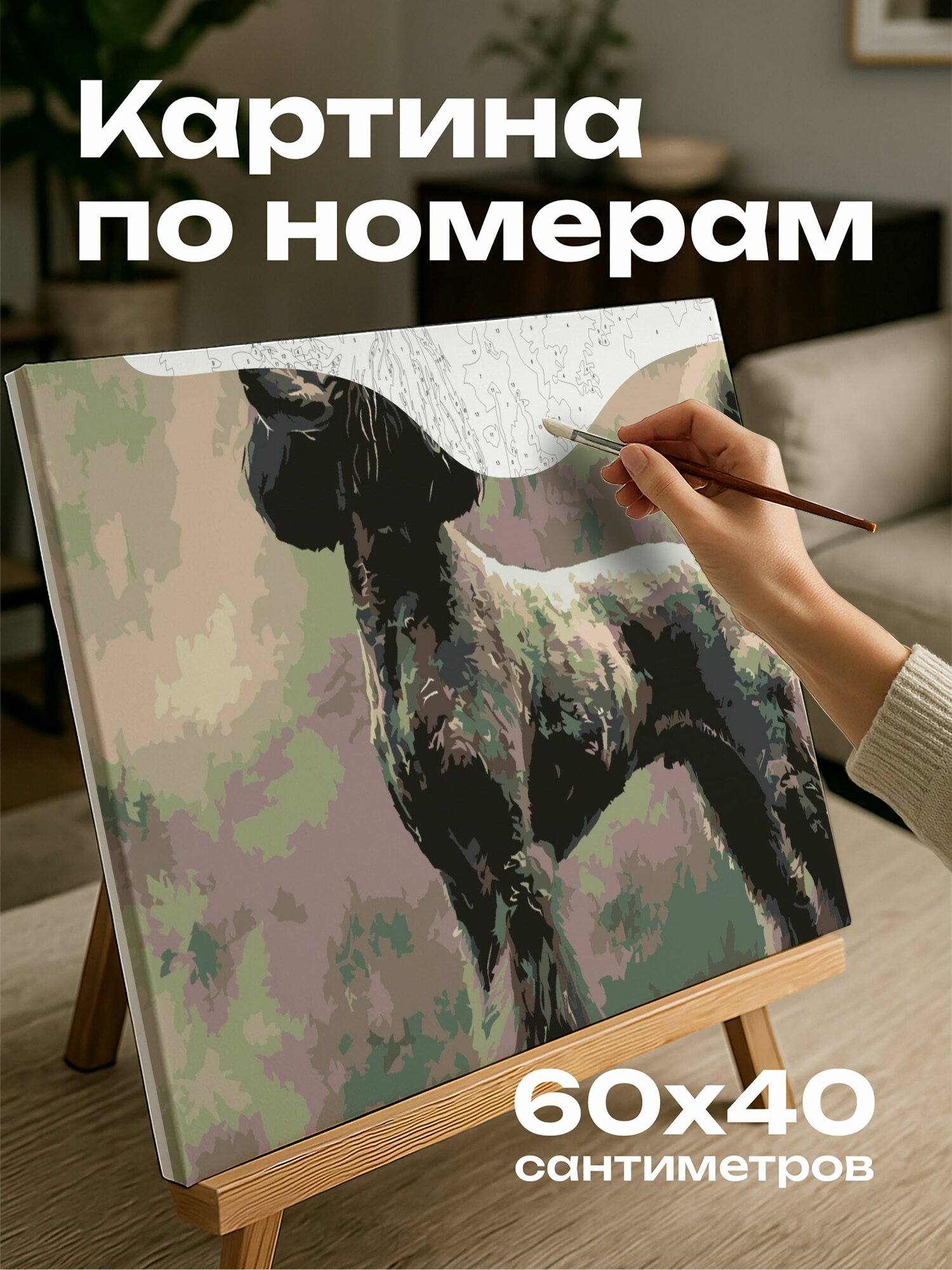Картина по номерам 60x40 см, Пудель, ринг, уверенность, элегантность, цвета, детали, собачья красота, уравновешенность