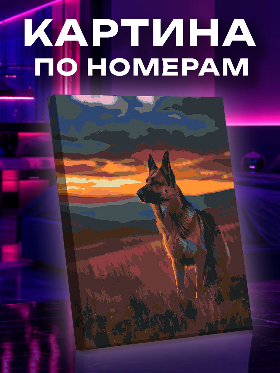 Картина по номерам Собака