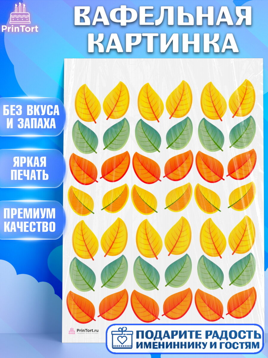 Вафельная картинка для торта Листья. Украшения для торта на День Рождения. Декор для выпечки PrinTort