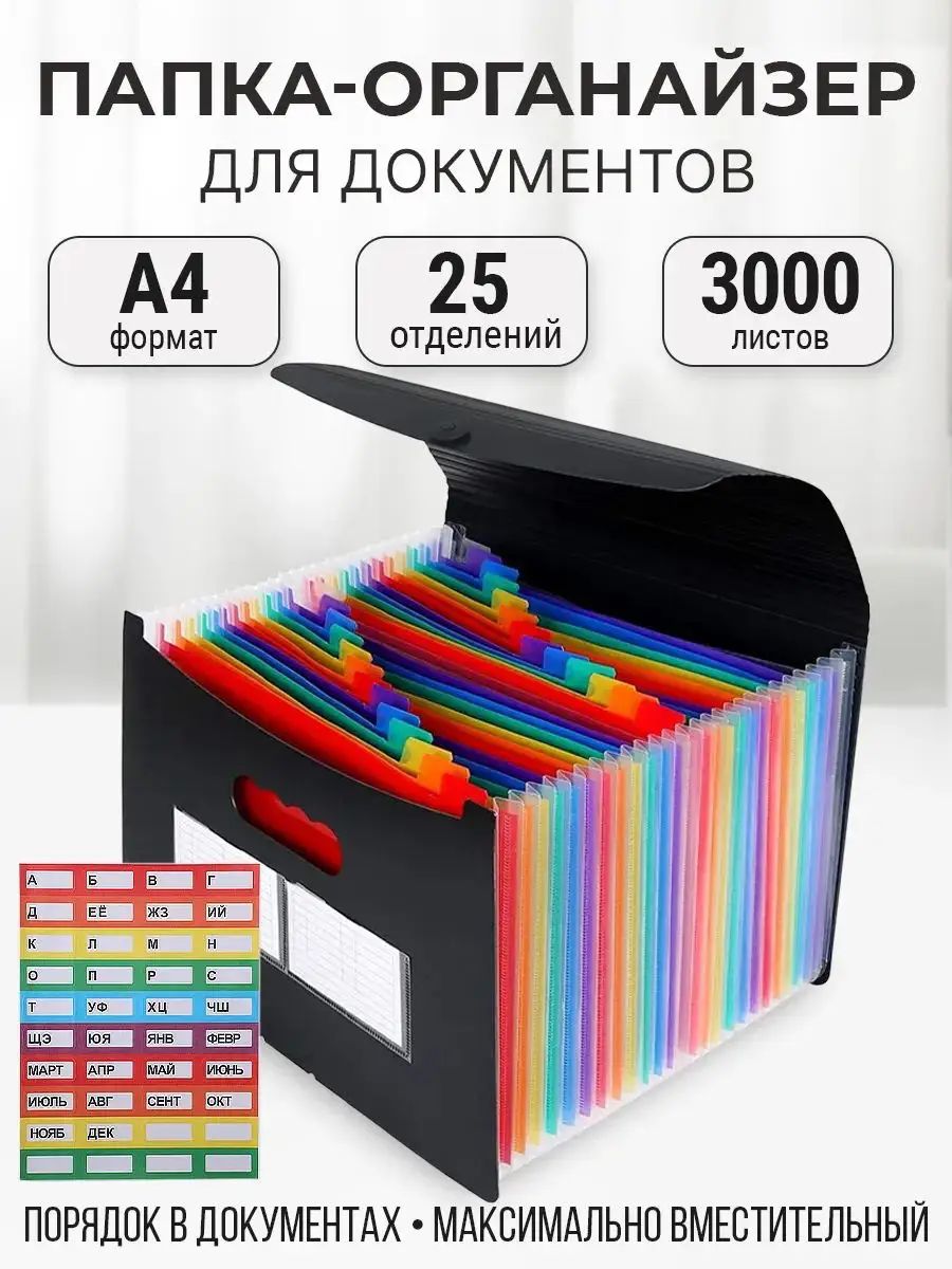 Montions Папка A4, 1 шт.