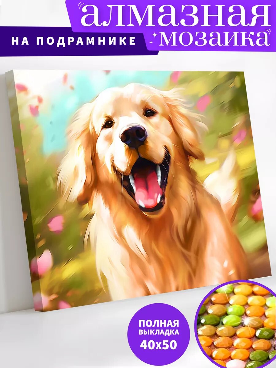 Алмазная мозаика на подрамнике 40х50 см "Золотистый ретривер"