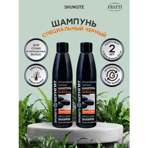 Шунгит, Шампунь Сила Шунгита для сухих и окрашенных волос, 330 мл - 2 штуки