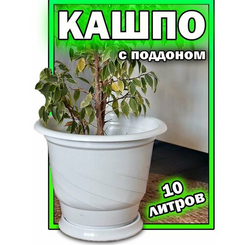Кашпо 10 литров (пластиковое с поддоном) для цветов, растений
