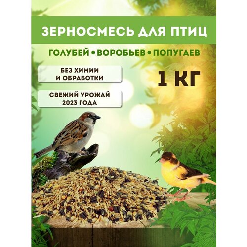 Корм для птиц 1 кг. Зерносмесь 7 в 1 семечки подсолнечника просо кукуруза лён рапс суданка / для кур грызунов голубей