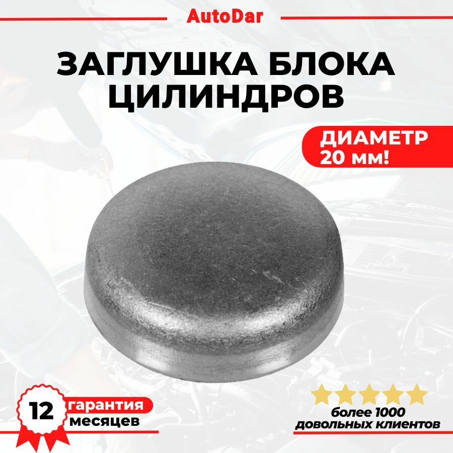 Заглушка блока цилиндров ( ГБЦ) 20 мм. Chevrolet Lanos , Zaz Chance , Daewoo Nexia двиг. 1.5 8 кл A15SMS G15MF 94580062