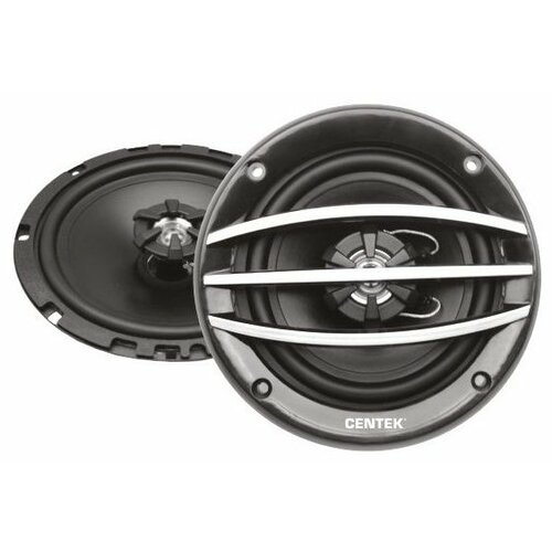 Автоколонки Centek СТ-8201-65 серый 65165 см 220 Вт 2 полосы частота 70-21000 158000₽