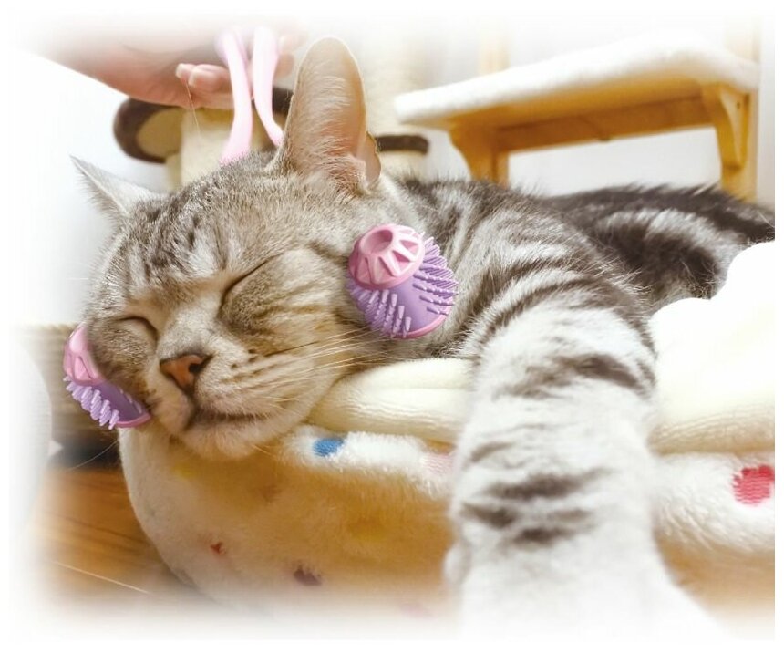 Массажер для кошек и собак Japan Premium Pet антистрессовый до и после груминга. - фотография № 3