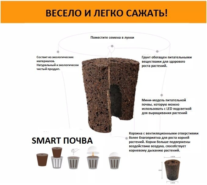 Мини сад - фотография № 6